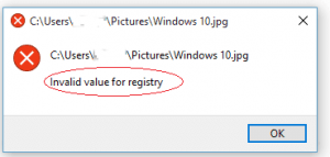 invalid value for registry mp4
