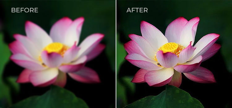 before after image- how to fix blurry photos