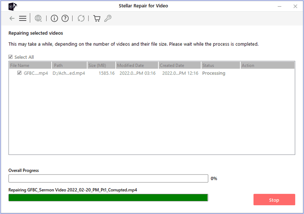 Repairing process in Selected file 