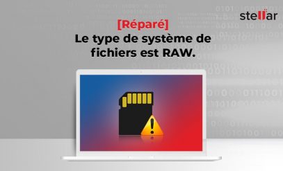 <strong>[Réparé] Le type de système de fichiers est RAW.</strong>