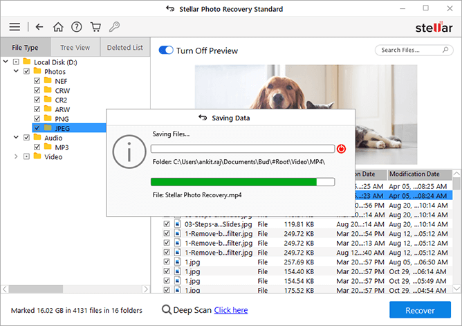 click recover to store restored RAW files