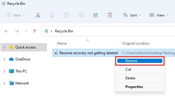 Restore Files from Recycle Bin