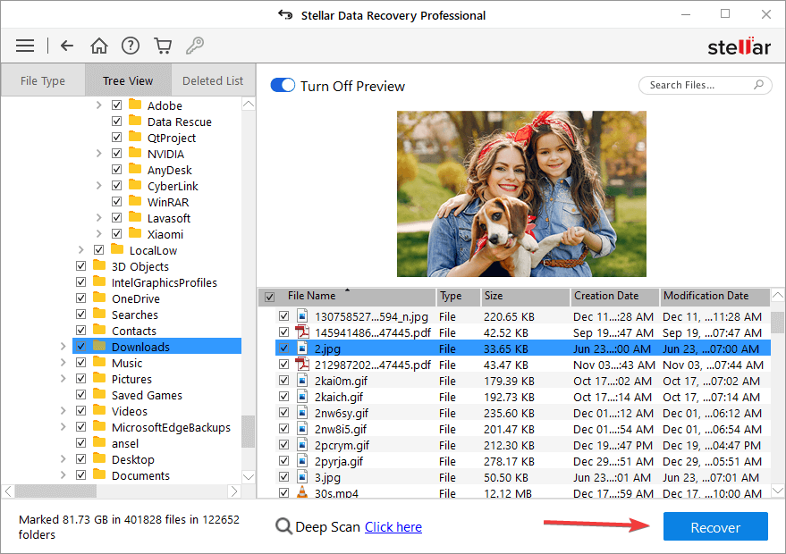 the file recovery preview and recover button in app