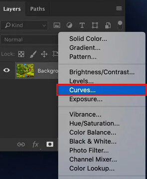 Photoshop curves adjustment layer