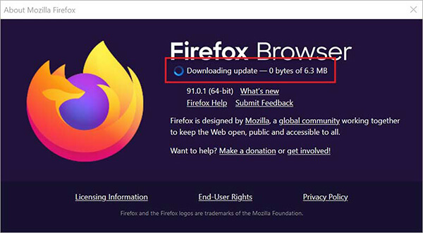 update Mozilla Firefox to fix Error Code 224002