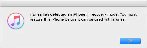 iTunes detected Recovery Mode