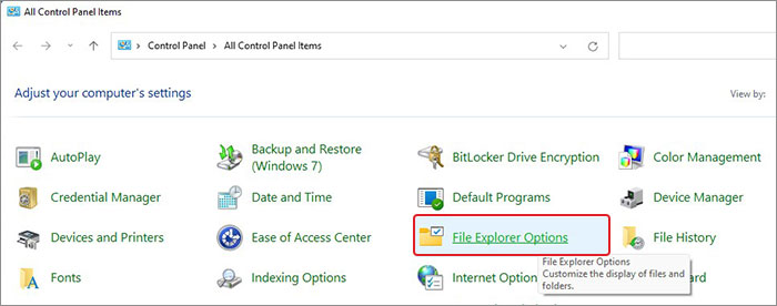 select-file-explorer-options