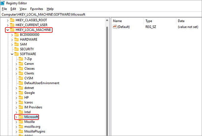 follow-Computer_HKEY_LOCAL_MACHINE-SOFTWARE-Microsoft