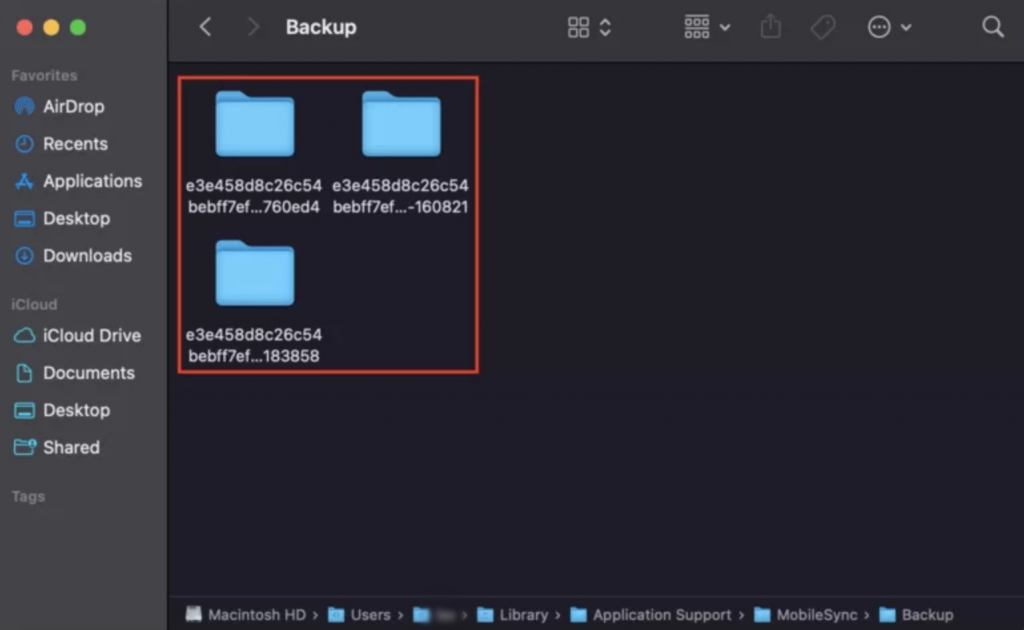 Folder with iOS backups