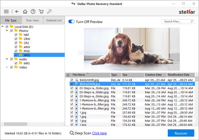 preview the recovered files