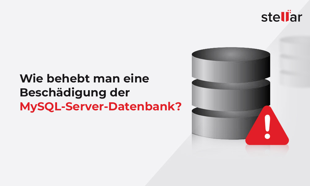 Wie behebt man eine Beschädigung der MySQL-Server-Datenbank?