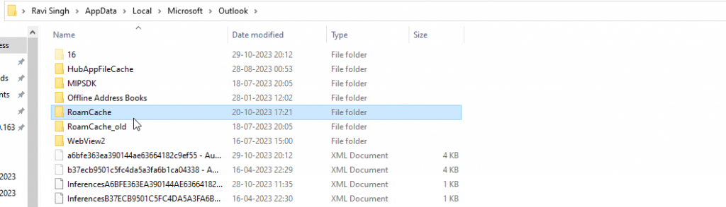 RoamCache folder