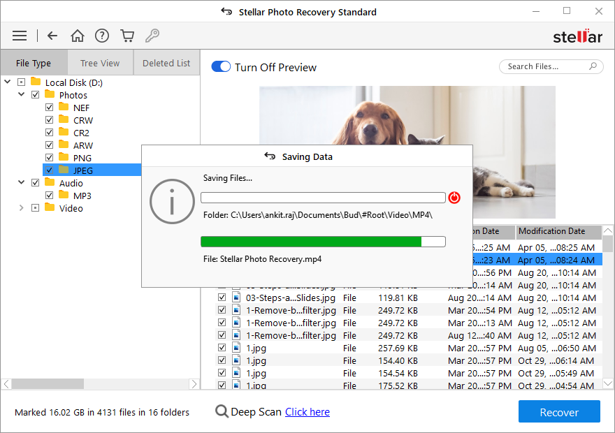 Stellar Photo Recovery - save the recovered photos