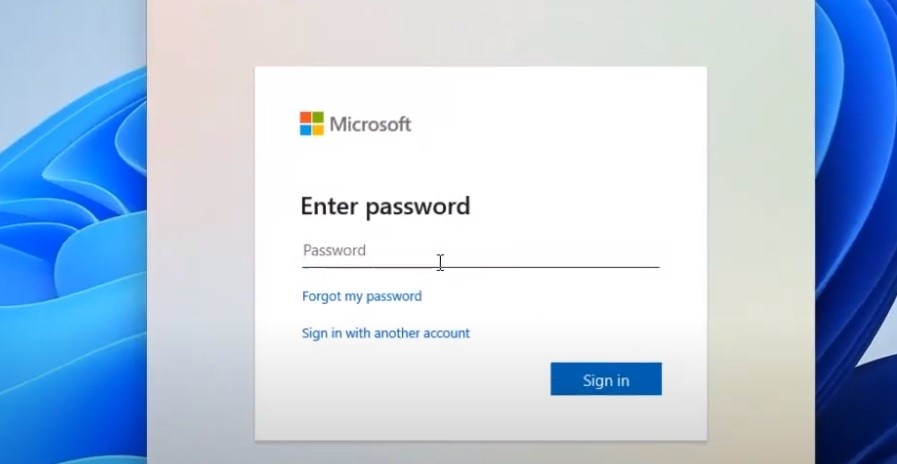 Password Window in Microsoft