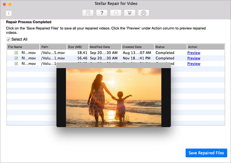 stellar repair for video mac save