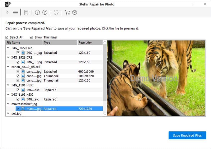 stellar photo repair select save repaired files