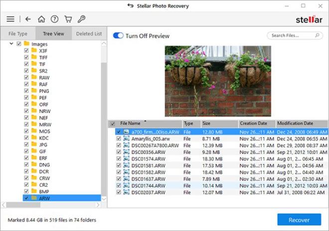 Preview the files to be restored and click Recover.