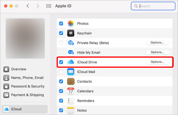 use icloud to Recover Data from a Mac After Factory Reset