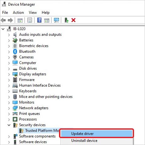 choose to update driver for TPM