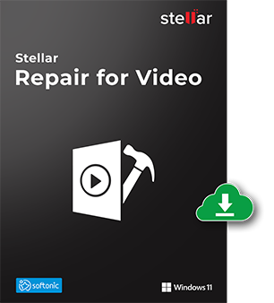stellar repair for video portable
