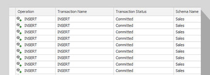 Need to View and Read SQL Anywhere Transactions?