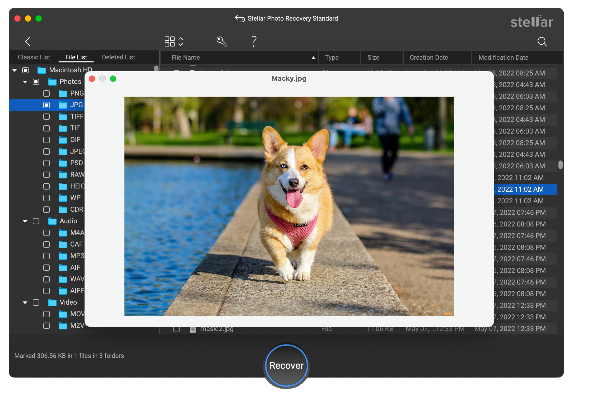 stellar-photo-recovery-for-mac-preview-files