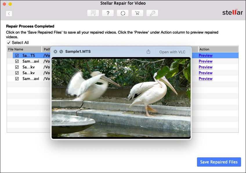 stellar-repair-for-video-save-files