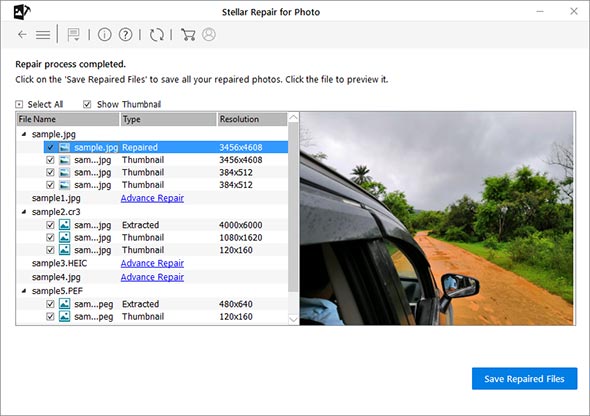 stellar-repair-for-photo-preview-repaired-image